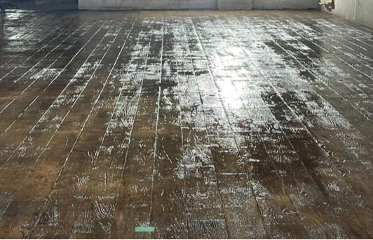 WhatsApp Image 2025-10-13 at 12.39.17_98fcd715